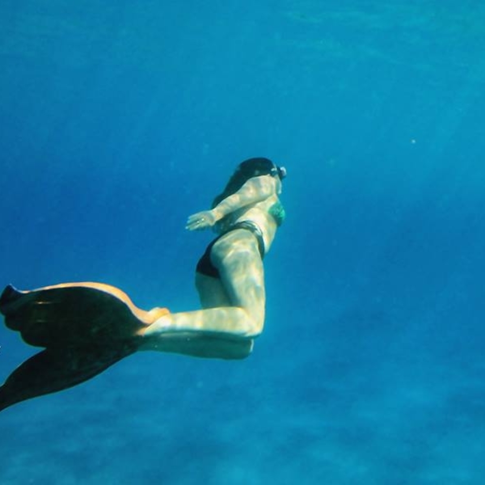 Meet your Posher, Larkin